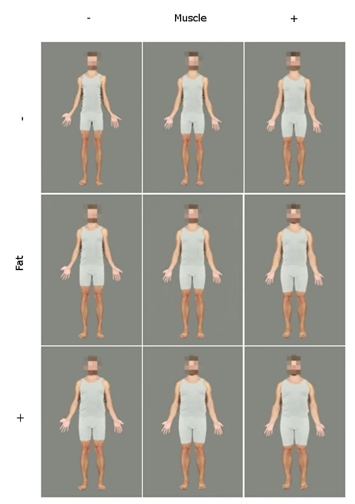 A three-by-three grid of the same male body morphed from low to high muscle across columns and low to high fat down rows